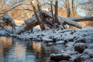Read more about the article Photo of the Week: Brrr