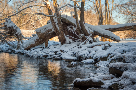 You are currently viewing Photo of the Week: Brrr