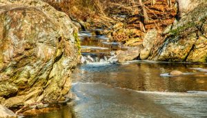 Read more about the article Photo of the Week: Thawed but Cold