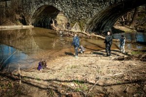 Read more about the article Photo of the Week: Skipping Stones