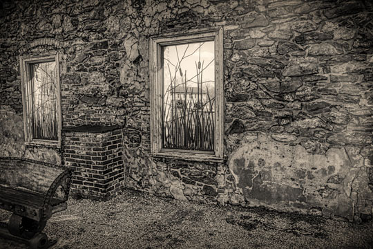 You are currently viewing Photo of the Week: Patterns