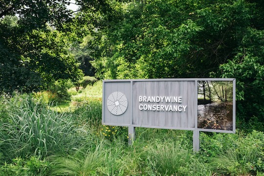 You are currently viewing Conservancy renewing accreditation