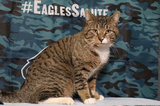 You are currently viewing Adopt-a-Pet Jan. 27