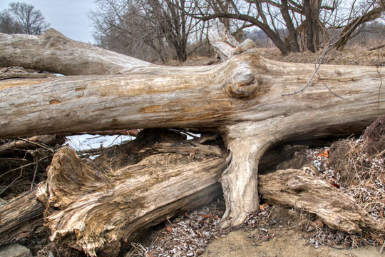 You are currently viewing Photo of the Week: Eyeball