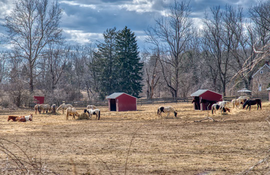 You are currently viewing Photo of the Week: Warm Saturday