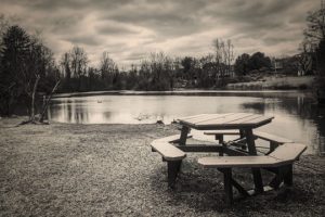 Read more about the article Photo of the Week: Picnic Tabled