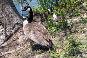 Read more about the article Photo of the Week: Family Ties
