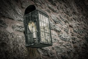 Read more about the article Photo of the Week: Lights Out