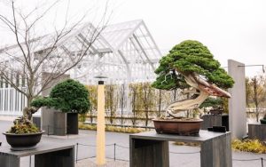Read more about the article Around Town June 19