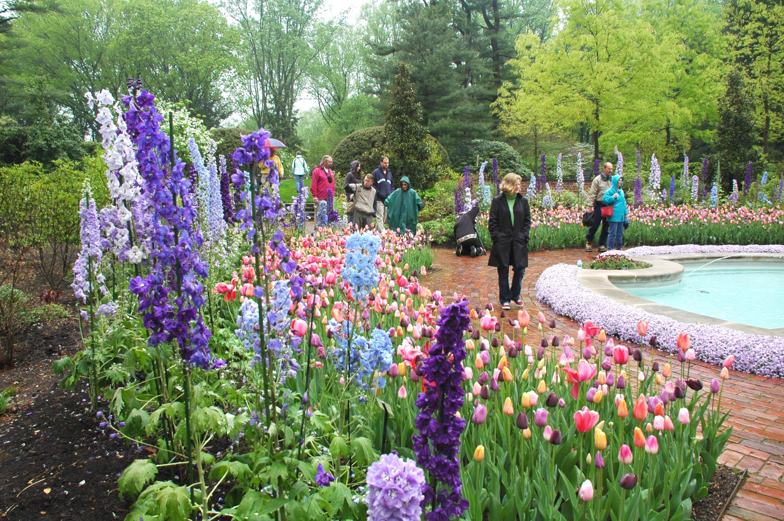 You are currently viewing Mt. Cuba celebrates wildflowers