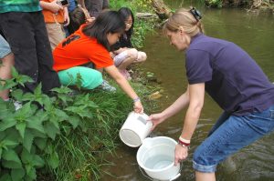 Read more about the article Local students help shad population