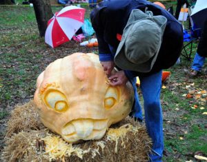 Read more about the article The Carve