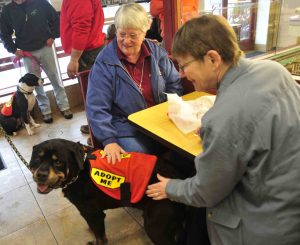 Read more about the article Jimmy John’s helps SPCA